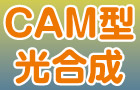 CAM型光合成
