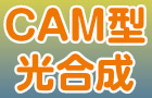 CAM型光合成